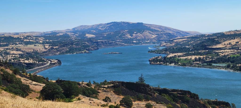 ¿Dónde estuvo tu atención&nbsp;últimamente?