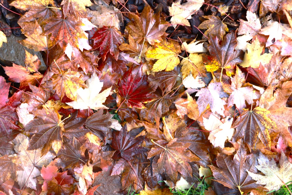 Falta solo un&nbsp;mes