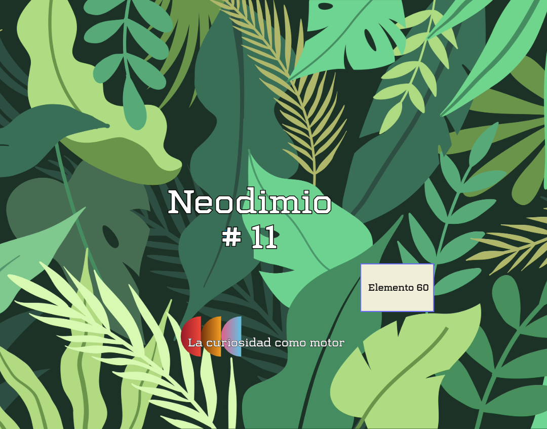 Neodimio #11 – Elemento 60